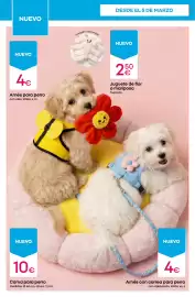 Catálogo Pepco semana 10 Página 10