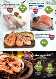 Catalogue Gel 2000 page 6