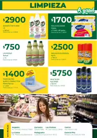 Catálogo Supermercados A Granel semana 10 Página 9