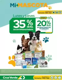 Catálogo Cruz Verde Página 14