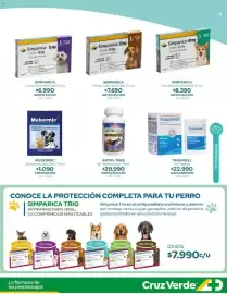 Catálogo Cruz Verde Página 15