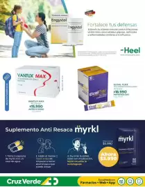 Catálogo Cruz Verde Página 6