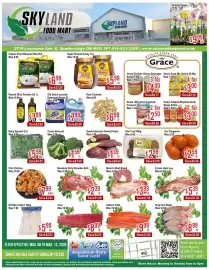 Skyland Foodmart flyer week 10 Page 1