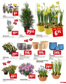 Jem & fix tilbudsavis uge 11 Side 3