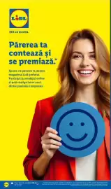 Catalog Lidl săptămâna 10 Pagină 100