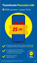 Catalog Lidl săptămâna 10 Pagină 61