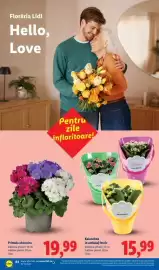 Catalog Lidl săptămâna 10 Pagină 64