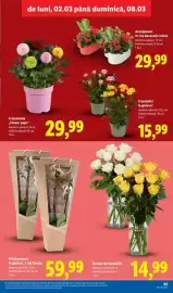 Catalog Lidl săptămâna 10 Pagină 65
