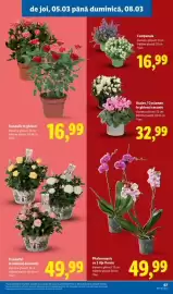 Catalog Lidl săptămâna 10 Pagină 67
