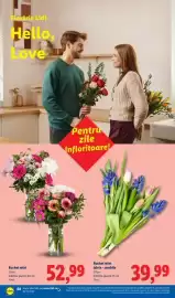 Catalog Lidl săptămâna 10 Pagină 68