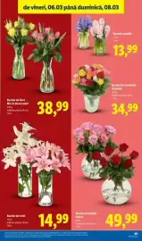 Catalog Lidl săptămâna 10 Pagină 69
