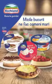 Catalog Selgros Pagină 11