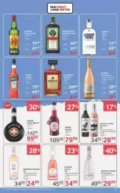 Catalog Selgros Pagină 17