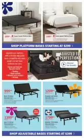 The Brick flyer Page 7