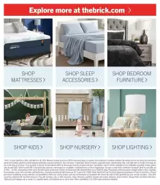 The Brick flyer Page 9