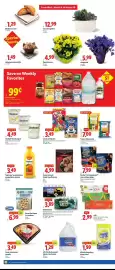 Lidl weekly ad week 10 Page 2