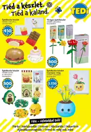 Tedi katalógus Oldal 13