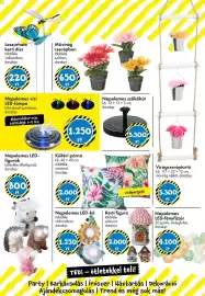 Tedi katalógus Oldal 29