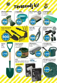 Tedi katalógus Oldal 30