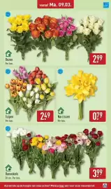 ALDI folder week 11 Pagina 37