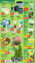 Thomas Philipps Prospekt woche 11 Seite 5