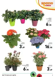 Volantino Spazio Conad | GIARDINO 2026 Pagina 3
