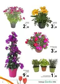 Volantino Spazio Conad | GIARDINO 2026 Pagina 4