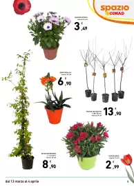 Volantino Spazio Conad | GIARDINO 2026 Pagina 5