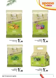 Volantino Spazio Conad | GIARDINO 2026 Pagina 7