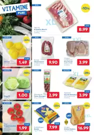 T&G Flugblatt Seite 2