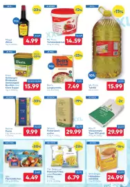 T&G Flugblatt Seite 3