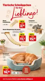 Thomas Philipps Prospekt woche 11 Seite 13