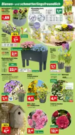 Thomas Philipps Prospekt woche 11 Seite 4