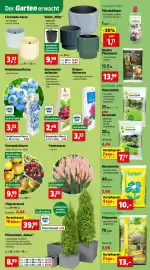 Thomas Philipps Prospekt woche 11 Seite 5