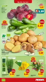 PENNY Prospekt woche 11 Seite 3
