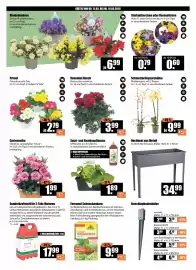 V Baumarkt Prospekt woche 11 Seite 2