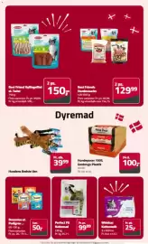 Fleggaard avis Side 25