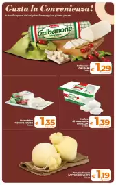 Volantino Ipercoop Radenza Pagina 13