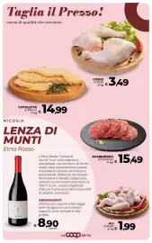 Volantino Ipercoop Radenza Pagina 17