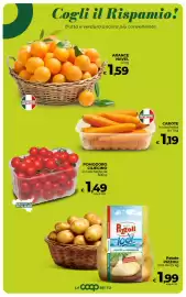 Volantino Ipercoop Radenza Pagina 19