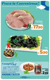 Volantino Ipercoop Radenza Pagina 20