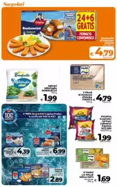 Volantino Ipercoop Radenza Pagina 22