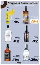 Volantino Ipercoop Radenza Pagina 34