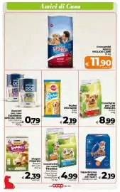 Volantino Ipercoop Radenza Pagina 45