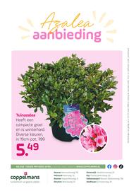 Coppelmans folder Pagina 10