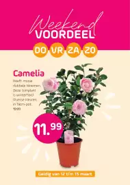 Coppelmans folder Pagina 2