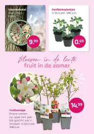 Coppelmans folder Pagina 3