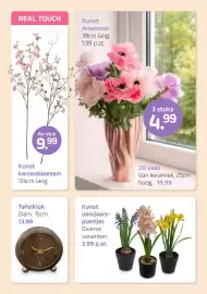 Coppelmans folder Pagina 8