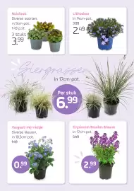 Coppelmans folder Pagina 9