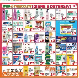 Volantino Iper Triscount Pagina 19